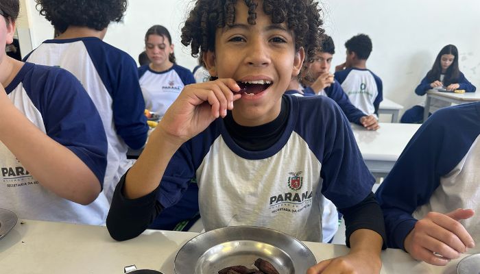 Pinhão amplia espaço nos cardápios da alimentação escolar da rede estadual 